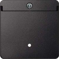 Merten Card-Schalter beleuchtbar anthrazit, Retail