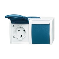 Busch-Jaeger Schutzkontakt-Steckdose Schuko 2-fach waagerecht mit Beschriftungsfeld, Aufputz, IP44 blau, Retail