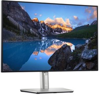 Dell U2421E, LED-Monitor 61.13 cm (24.1 Zoll), silber, WUXGA, IPS, USB-C