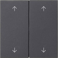 Gira Wippe zweifach mit Pfeilsymbolen System fünfzig fünfzig anthrazit, Retail