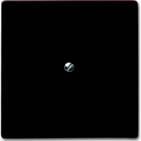 Busch-Jaeger Blindzentralscheibe mit Tragring, Blende braun, Retail