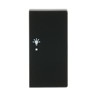 Busch-Jaeger Wippe matt schwarz, Retail