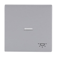 Busch-Jaeger Wippe mit Symbol Licht Retail