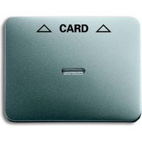 Busch-Jaeger Zentralscheibe für Cardschalter, Abdeckung titan, Retail