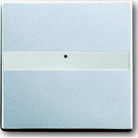 Busch-Jaeger Wippe mit Lichtleiter zur gleichmäßigen Ausleuchtung der Beschriftung Retail