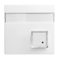 Busch-Jaeger Zentralscheibe, Abdeckung weiß, Retail