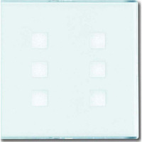 Busch-Jaeger Zentralscheibe mit Beschriftungsfeld, Zentralplatte weiß, Retail