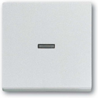 Busch-Jaeger Wippe 1789 Nummer 83 aluminium, Retail