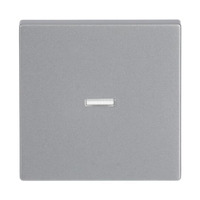 Busch-Jaeger Wippe 1789 Nummer 83 aluminium, Retail