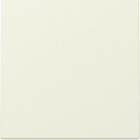 Gira Wippe weiß, Retail