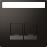Merten Zentralplatte 2fach mit Schriftfeld und integrierten Verschlussschiebern anthrazit, Retail