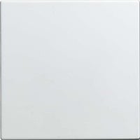 Busch-Jaeger Blindzentralscheibe 1576 C-914, Zentralplatte Retail