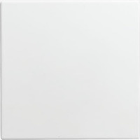 Busch-Jaeger Blindzentralscheibe 1576 C-914, Zentralplatte Retail