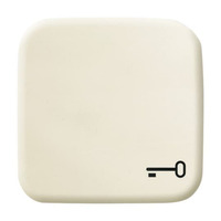 Busch-Jaeger Wippe mit Symbol Schlüssel weiß, Retail