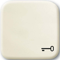 Busch-Jaeger Wippe mit Symbol Schlüssel weiß, Retail