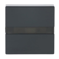 Busch-Jaeger Komfortschalter mit Orientierungslicht, Bewegungsmelder anthrazit, Retail