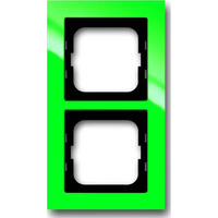 Busch-Jaeger Rahmen 2-fach grün, Retail