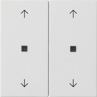 Gira Wippe zwei fach weiß, Retail