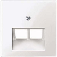 Merten Zentralplatte für Universal-Anschluss-Einsätze, Unterputzmontage, glänzend, Kunststoff weiß (glänzend), Retail