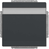 Busch-Jaeger Schutzkontakt Steckdosen Einsatz anthrazit, Retail