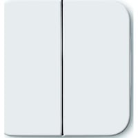 Busch-Jaeger Wippe aws Retail