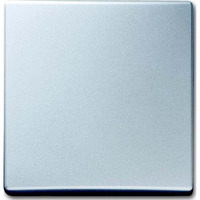 Busch-Jaeger Wippe einteilige Ausführung ohne Aufdruck für Schalter und Taster Retail