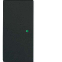 Busch-Jaeger Wippe future linear schwarz, Retail