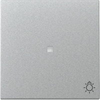 Gira Wippe Kontrollfenster und Symbol aluminium, Retail