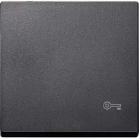 Merten Wippe Schlüssel für Wechselschalter Kreuzschalter und Taster Einsatz einteilig matt anthrazit, Retail