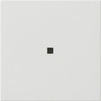 Gira Wippe einfach unbedruckt mit Kontrollfenster glänzend weiß, Retail