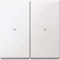 Merten Wippe polarweiß glänzend für Tastermodul zweifach System M 619219 weiß (glänzend), Retail