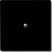 Busch-Jaeger Blindzentralscheibe mit Tragring, Blende anthrazit, Retail