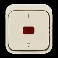 Busch-Jaeger Kontrollausschalter 2polig Aufputz 2601/2 SKAP weiß, Retail