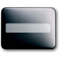 Busch-Jaeger Wippe mit Beschriftungsfeld platin, Retail