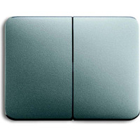 Busch-Jaeger Wippe ti Serienschalt/-taster 1785-266 titan, Retail