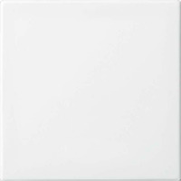 Busch-Jaeger Zentralscheibe neutral für ZETTLER VarioLine Einsätze Serie 127.xxx, Zentralplatte weiß, Retail