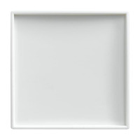 Busch-Jaeger Zentralscheibe neutral für ZETTLER VarioLine Einsätze Serie 127.xxx, Zentralplatte weiß, Retail