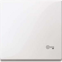 Merten Wippe Schlüssel für Wechselschalter, Kreuzschalter und Taster, einteilig, glänzend weiß (glänzend), Retail