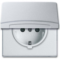 Busch-Jaeger Schutzkontakt-Steckdoseneinsatz 20 EUGKB-33-101 aluminium, Retail