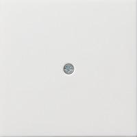 Gira Zentralplatte Schnurableitung glänzend Retail