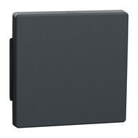 Merten Wippe für Wechselschalter, Kreuzschalter und Taster, einteilige Ausführung, Typ 343114 anthrazit, Retail