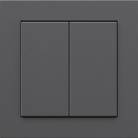 Senic Works with Hue Smart Switch, Taster anthrazit
