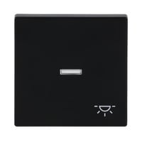 0 Wippe mit Symbol Licht schwarz, Retail