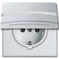 Busch-Jaeger Schutzkontakt-Steckdoseneinsatz CEE 7/3 Typ F 20 EUGKBN-33-101 aluminium, Retail