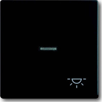 Busch-Jaeger Wippe mit Symbol Licht schwarz, Retail