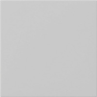 Gira Wippe einfach unbedruckt lackiert matt System 55 Bedienwippe Ersatz grau, Retail