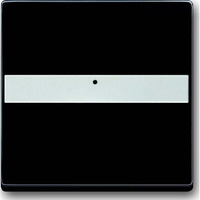 Busch-Jaeger Wippe 1764 NLI-81 anthrazit, Retail