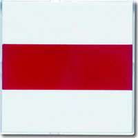 Busch-Jaeger Zentralscheibe davos signalieren 1573 CN-84, Zentralplatte weiß, Retail