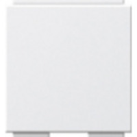 Gira Universal-Blindabdeckung für Abdeckung Modular Jack 2fach mit 30° Schrägauslass und Beschriftungsfeld weiß, Retail