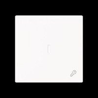 Busch-Jaeger Wippe mit Symbol Schlüssel mit transparenter Kalotte weiß, Retail